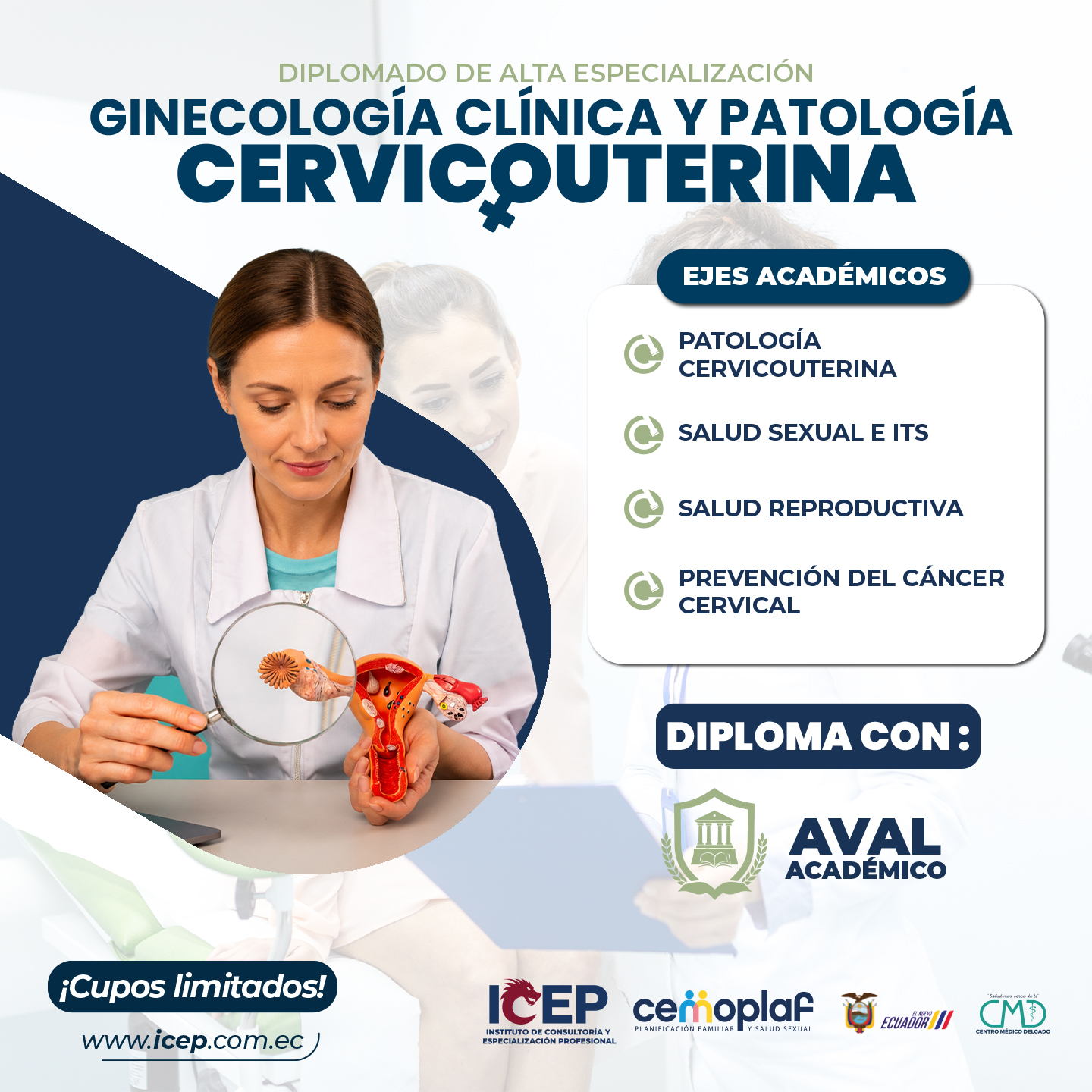 ICEP - Instituto De Consultoría Y Especialización Profesional